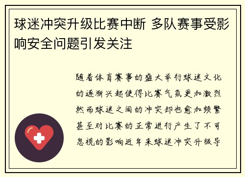 球迷冲突升级比赛中断 多队赛事受影响安全问题引发关注